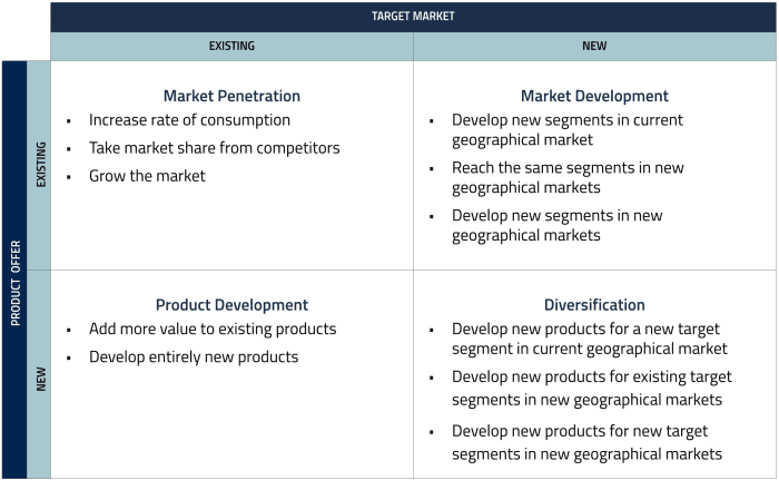 Ansoff Matrix Growth Strategy