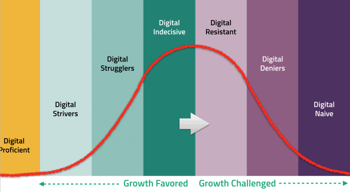 Digital Evolution 2005