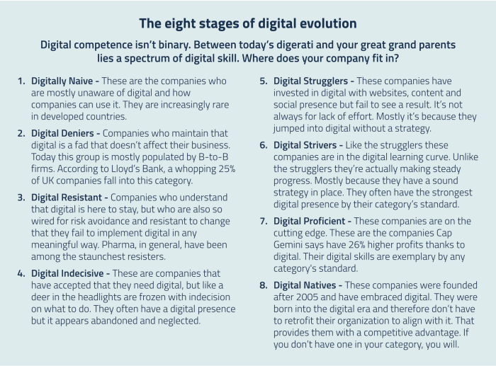 EightStepsDigitalEvolution