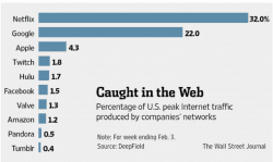 Twitch net traffic percentage