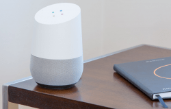 Google home assistant device